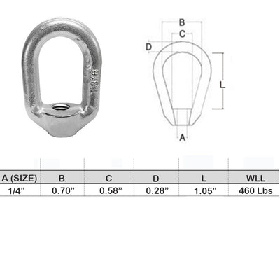 2 PC 1/4" Threaded Eye Nut Ring Oval Lifting Marine Forged Style SS T316 WLL 460 LBS Cap