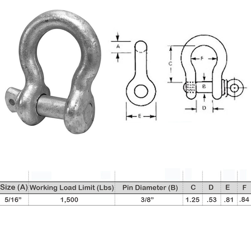 5/16" Screw Pin Anchor D Ring Rigging Bow Shackle Galvanized Steel Drop Forged For Marine Boat WLL 1500Lbs