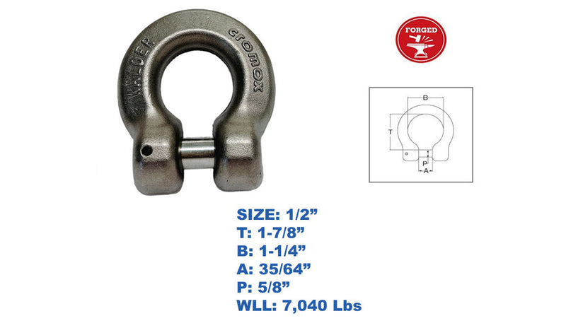 Marine Boat G60 Clevis Shackle T318 LN Stainless Steel