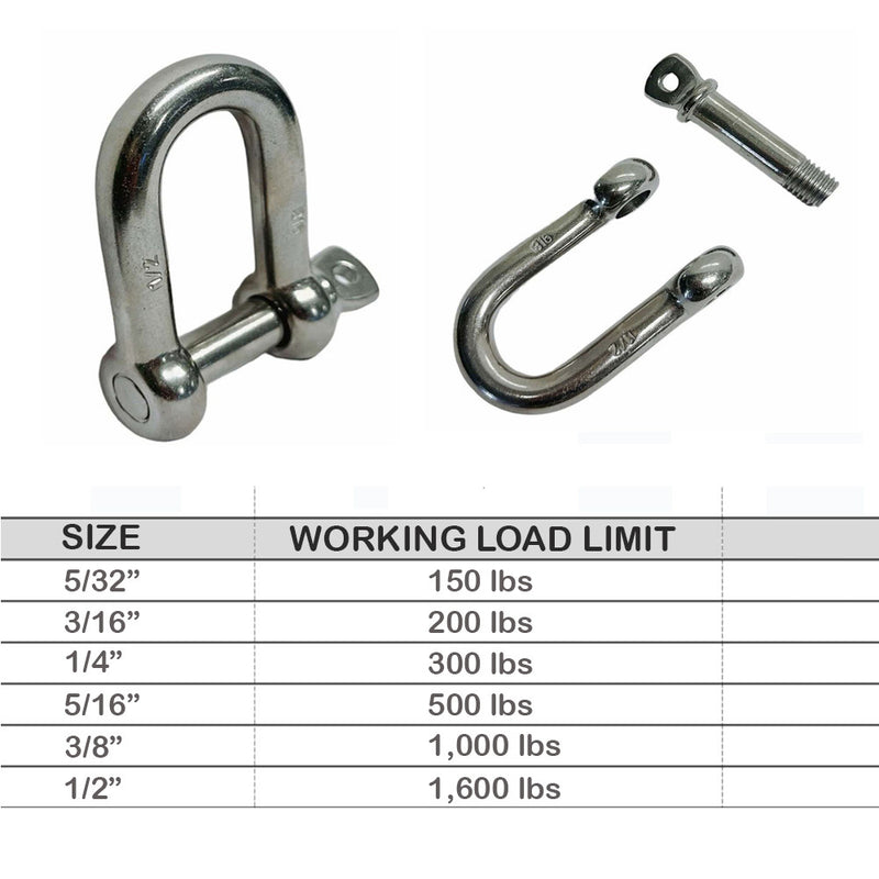 Stainless Steel D Chain Shackle with Screw Pin