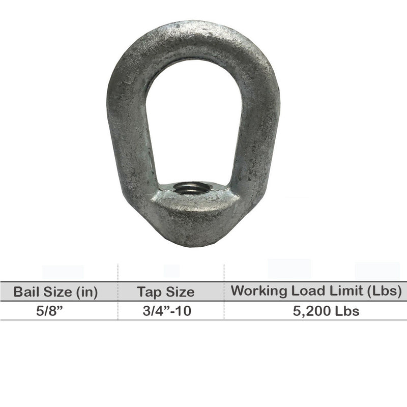 Eye Nut Tap Thread Galvanized Drop Forged Carbon Steel