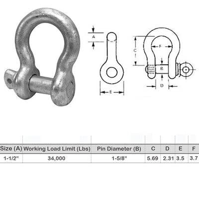 Screw Pin Anchor D Ring Shackle Galvanized Steel Drop Forged