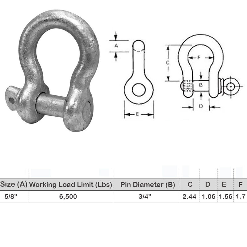 Screw Pin Anchor D Ring Shackle Galvanized Steel Drop Forged