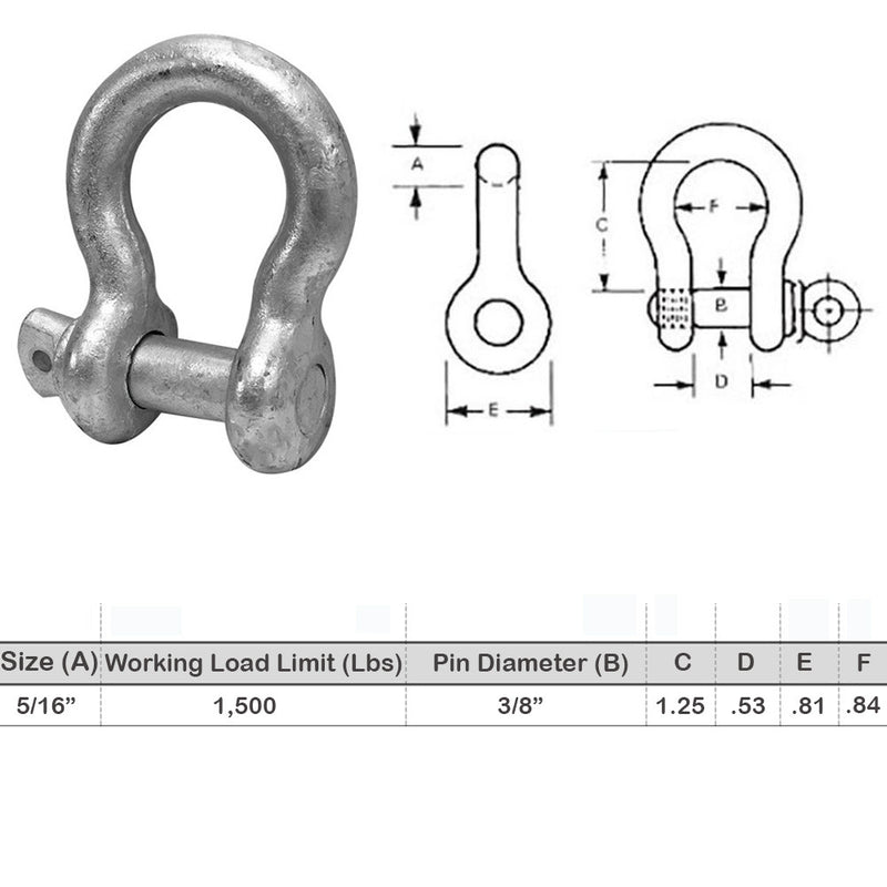 20 Pcs 5/16" Screw Pin Anchor D Ring Bow Shackle Galvanized Drop Forged Marine