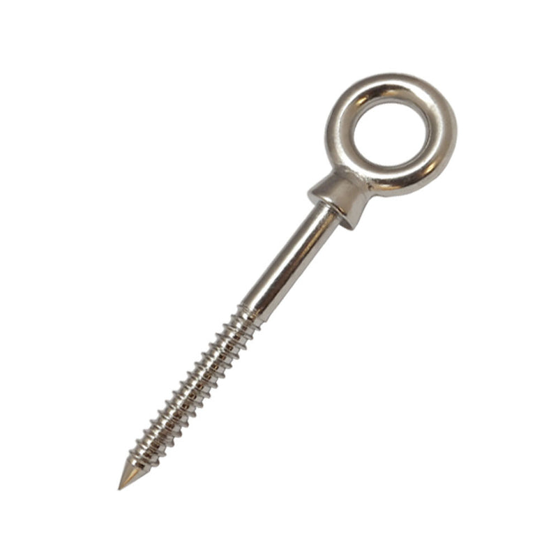 Stainless Steel 316 Screw Lag Eye Bolt